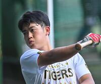 　打撃練習する中川（撮影・西田忠信）