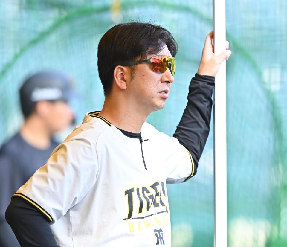 　試合前練習を見る藤川監督（撮影・西田忠信）