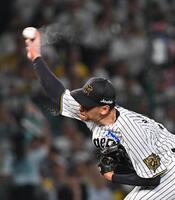 　力投する先発の早川（撮影・西田忠信）