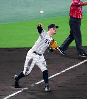 　３回、蝦名の打球を好捕し、一塁アウトにする佐藤輝（撮影・山口登）