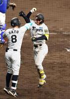 　５回、ソロを放った森下は佐藤輝とジャンピング肘タッチをする（撮影・山口登）