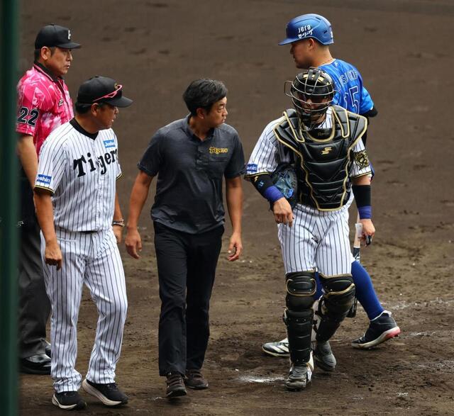 梅野 梅野隆太郎 family with tigers Lサイズ 阪神タイガース 隆太郎