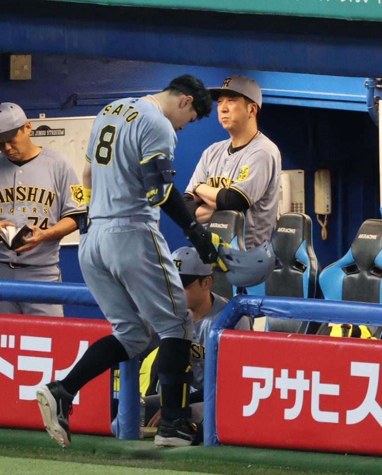 　３回、佐藤輝が二飛に倒れ厳しい表情の藤川監督（撮影・金田祐二）