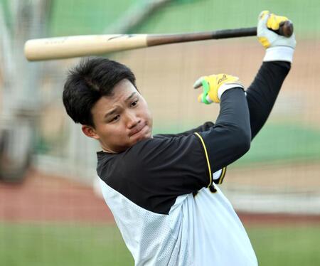 　打撃練習をする森下（撮影・田中太一）