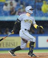 　８回、右前打を放つ佐藤輝（撮影・西岡正）