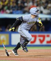 　２回、左中間に先制ソロを放つ佐藤輝（撮影・西岡正）