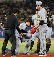 　６回、打球を足に当て、ベンチへ下がる才木（撮影・田中太一）