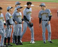 　痛めた足でファンの前に姿を見せた才木（撮影・金田祐二）