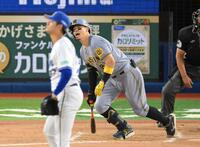 　１１回、右飛を打ち上げる佐藤輝（撮影・伊藤笙子）