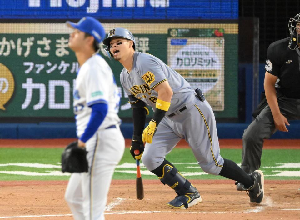 　１１回、右飛を打ち上げる佐藤輝（撮影・伊藤笙子）