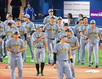 　横浜スタジアム最終戦を終え、レフトスタンドに向かう藤川監督（中央）＝撮影・伊藤笙子