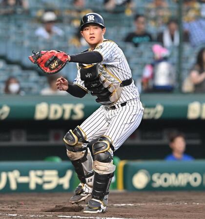 　捕手で試合前のシートノックに取り組む中川（撮影・西田忠信）