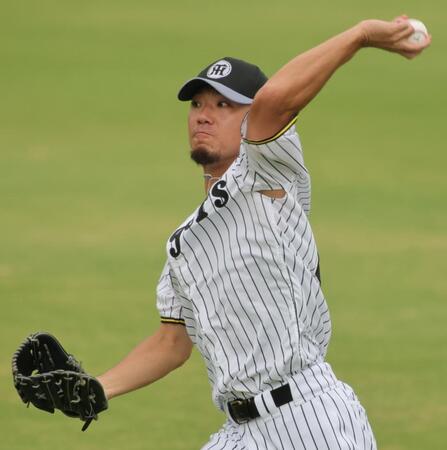 　キャッチボールをする伊藤将（撮影・坂部計介）