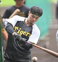 　打撃練習する佐藤輝（撮影・西田忠信）