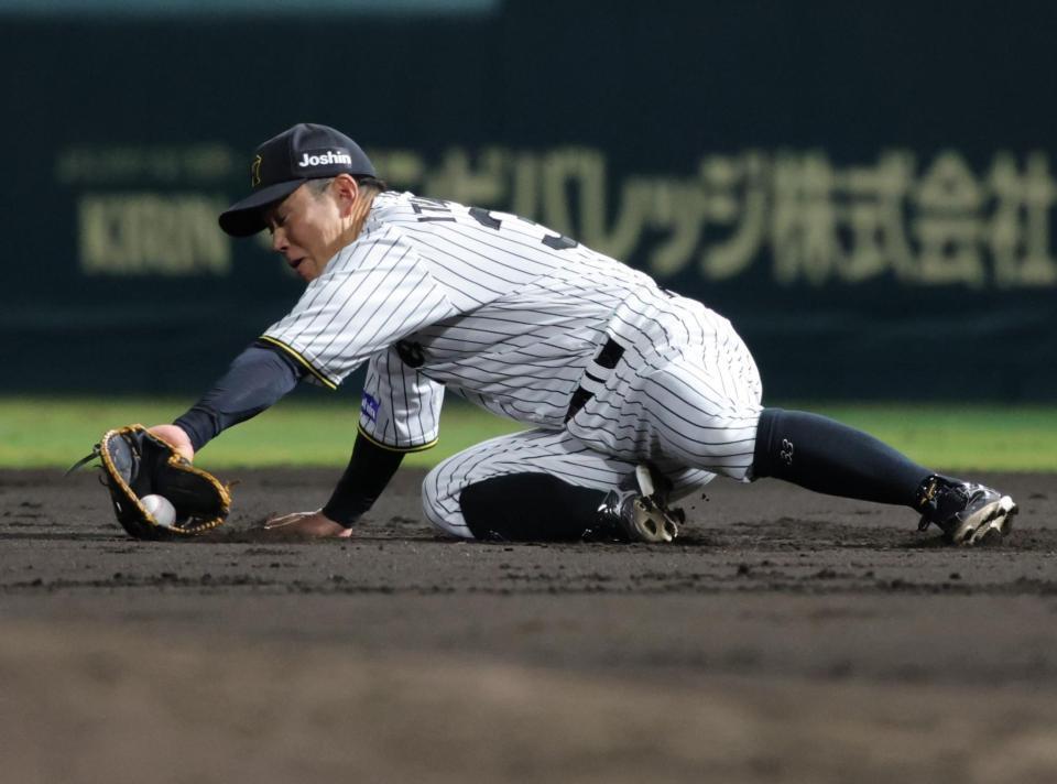 　３回、渡部の打球を逆シングルで捕球する一塁手・糸原（撮影・坂部計介）