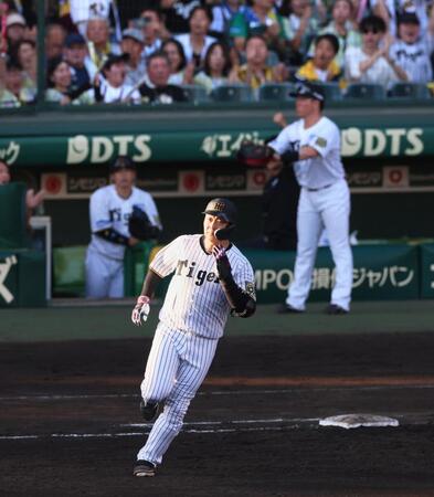 　７回、３ランを放ちダイヤモンドを回る大山（撮影・立川洋一郎）