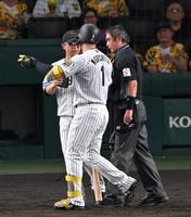 　２回、上本コーチに促されベンチへ戻る森下（２６日）