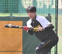 　バント練習する才木（撮影・西田忠信）