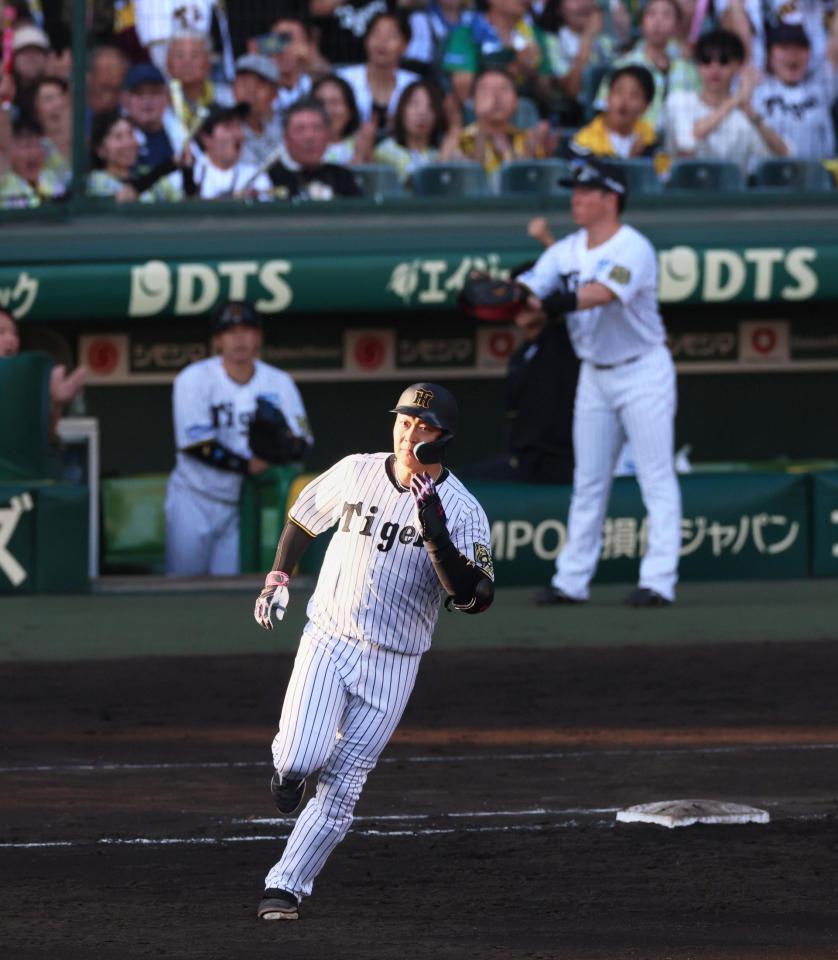 　７回、３ランを放ちダイヤモンドを回る大山（撮影・立川洋一郎）