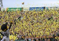 　７回の攻撃前、ジェット風船が宙を舞う甲子園（撮影・西田忠信）