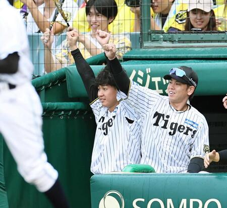 　６回、ヘルナンデスが勝ち越し打を放ち、ベンチでガッツポーズをする伊原（左）と梅野（撮影・田中太一）