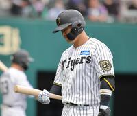 　８回、空振り三振に倒れ、ベンチに引き揚げる原口（撮影・坂部計介）