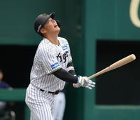 　６回、捕邪飛に倒れる原口（撮影・坂部計介）