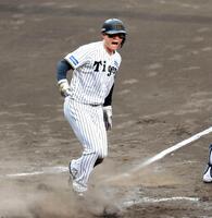 　５回、細川の悪送球の間に同点の生還を果たし、ほえる森下（撮影・北村雅宏）