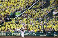 　７回を無失点に抑える及川（撮影・田中太一）