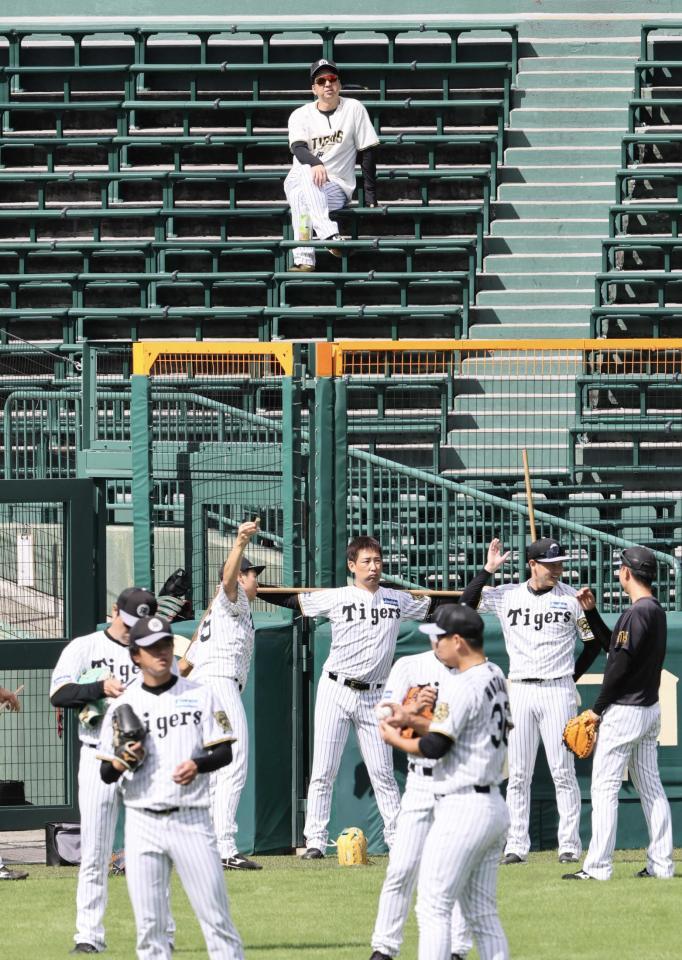 　スタンドから練習を見る藤川監督