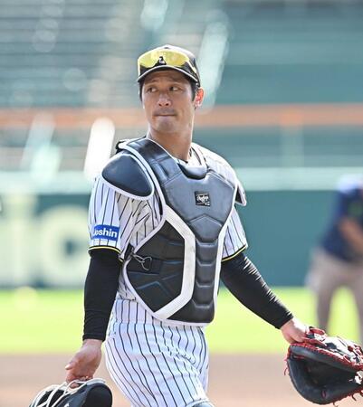 阪神・坂本　侍初選出　あるぞ来春ＷＢＣで大谷とバッテリー　及川、佐藤輝、森下も代表入り