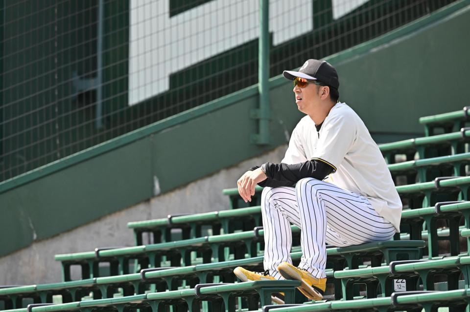 　スタンドで練習を見る藤川監督（撮影・西田忠信）