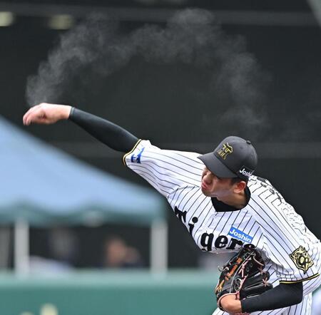 　４回から３番手で登板する今朝丸（撮影・西田忠信）