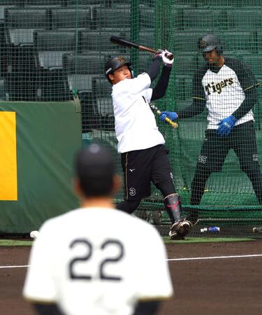 　藤川監督（手前）が見つめる中、打撃練習する大山（撮影・山口登）