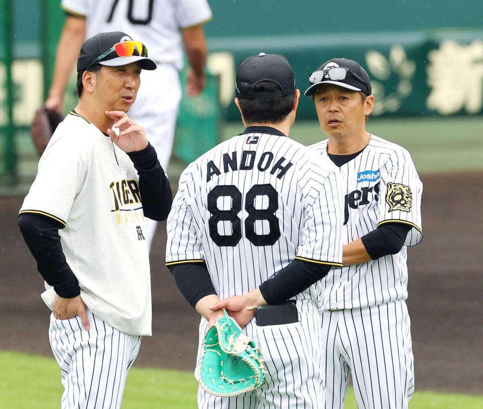 　藤川監督（左）らと話し込む藤本コーチ（撮影・山口登）