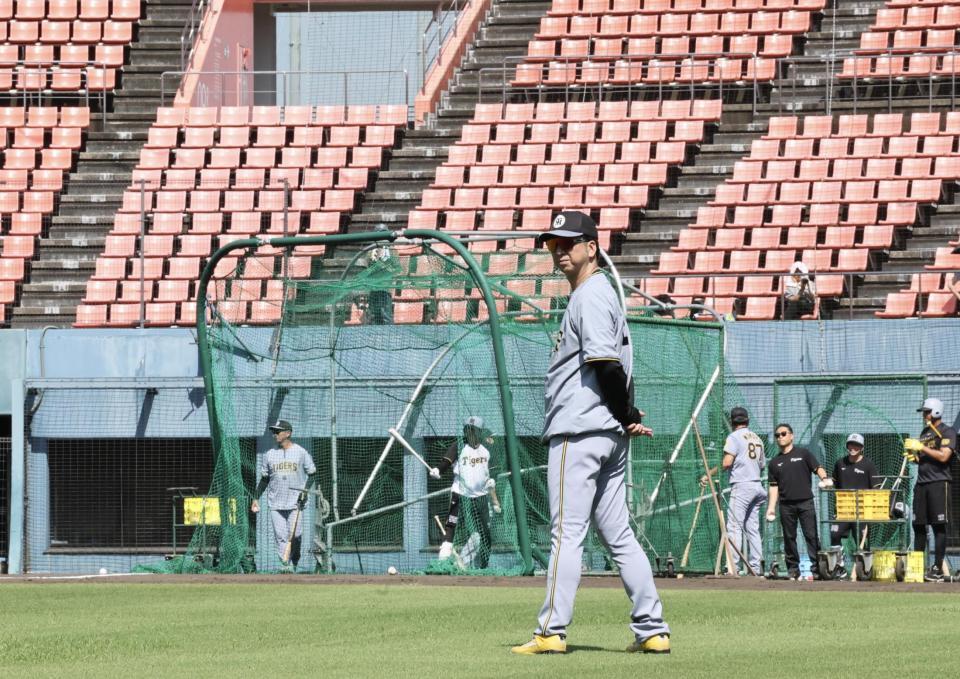 　練習を見る藤川監督（撮影・田中太一）
