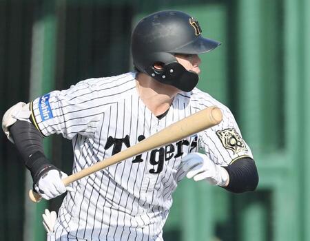 　８回、適時打を放つ楠本（撮影・田中太一）