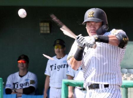 　２回、フルスイングしバットを折る小野寺（撮影・田中太一）