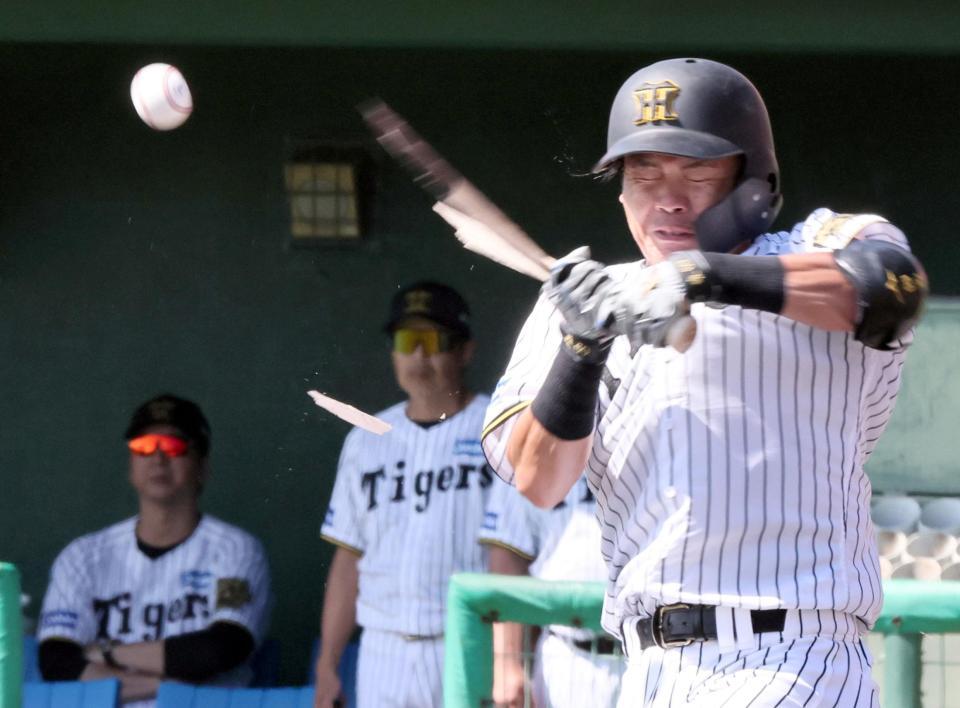 　２回、フルスイングしバットを折る小野寺（撮影・田中太一）