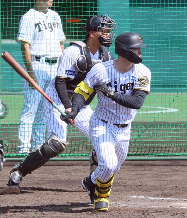 　ケースバッティングで安打を放つ佐藤輝（撮影・立川洋一郎）