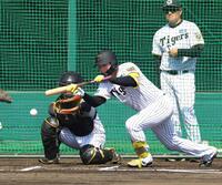 　ケース打撃で送りバントを決める森下（撮影・山口登）