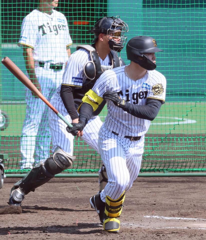 　ケースバッティングで安打を放つ佐藤輝（撮影・立川洋一郎）