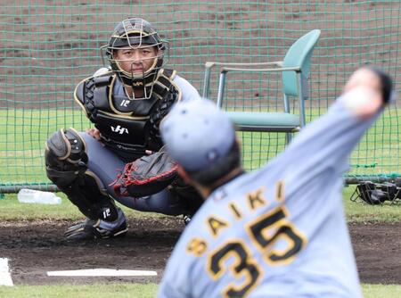 阪神・坂本　侍の正捕手狙う　自身初選出「刺激をもらいながら、個人的にもレベルアップしたい」１１月日韓戦へ