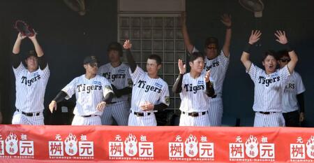 　９回、原口の同点適時打で盛り上がる阪神ベンチ（撮影・田中太一）