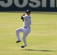 　シートノックに励む森下（撮影・北村雅宏）