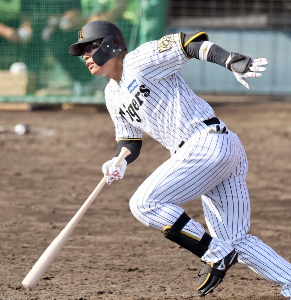 阪神 原口選手 実使用バット 85cm f_19569769.jpg