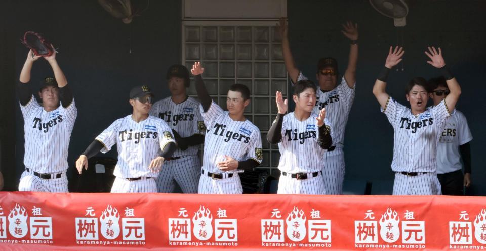 　９回、原口の同点適時打で盛り上がる阪神ベンチ（撮影・田中太一）