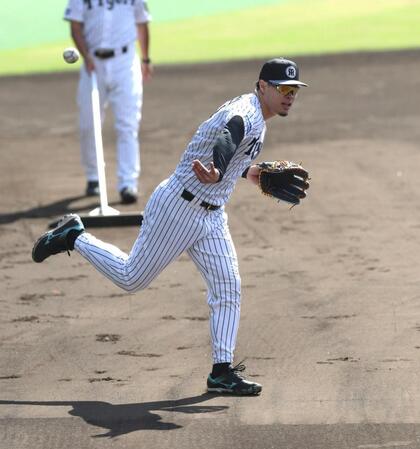　ノックの打球をバックトスで返球する佐藤輝（撮影・北村雅宏）