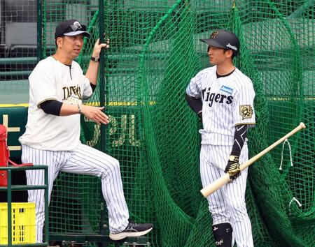 　シート打撃前、近本（右）に声を掛ける藤川監督（撮影・山口登）