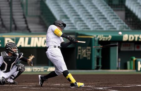 　シート打撃でバットを折りながら安打性の当たりを放つ佐藤輝（撮影・北村雅宏）